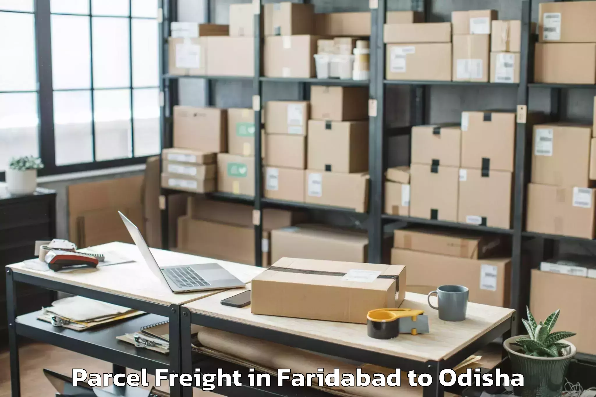 Book Your Faridabad to Narayanpatana Parcel Freight Today